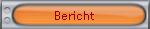 Bericht