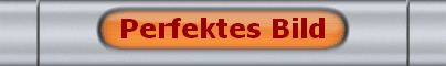 Perfektes Bild